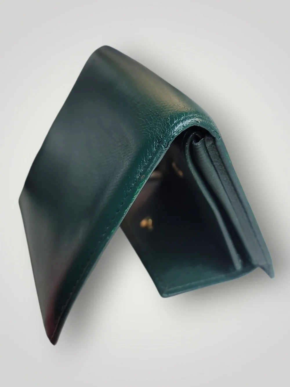 Louis Vuitton classic louis